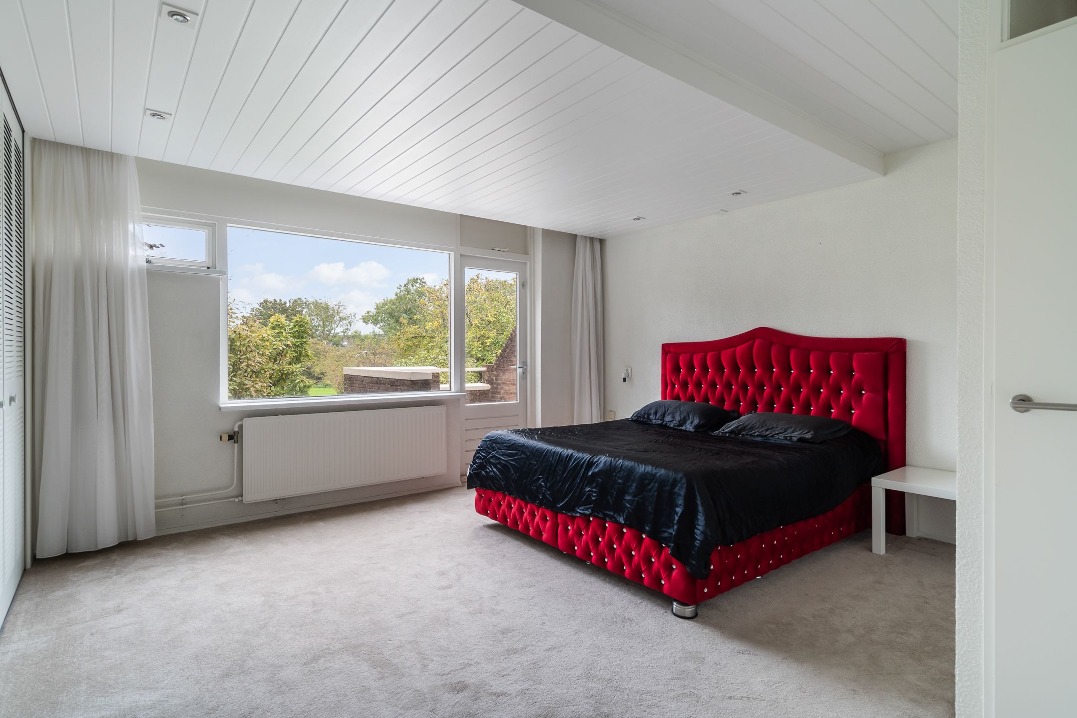 Foto 36 van Watertorkruid 1