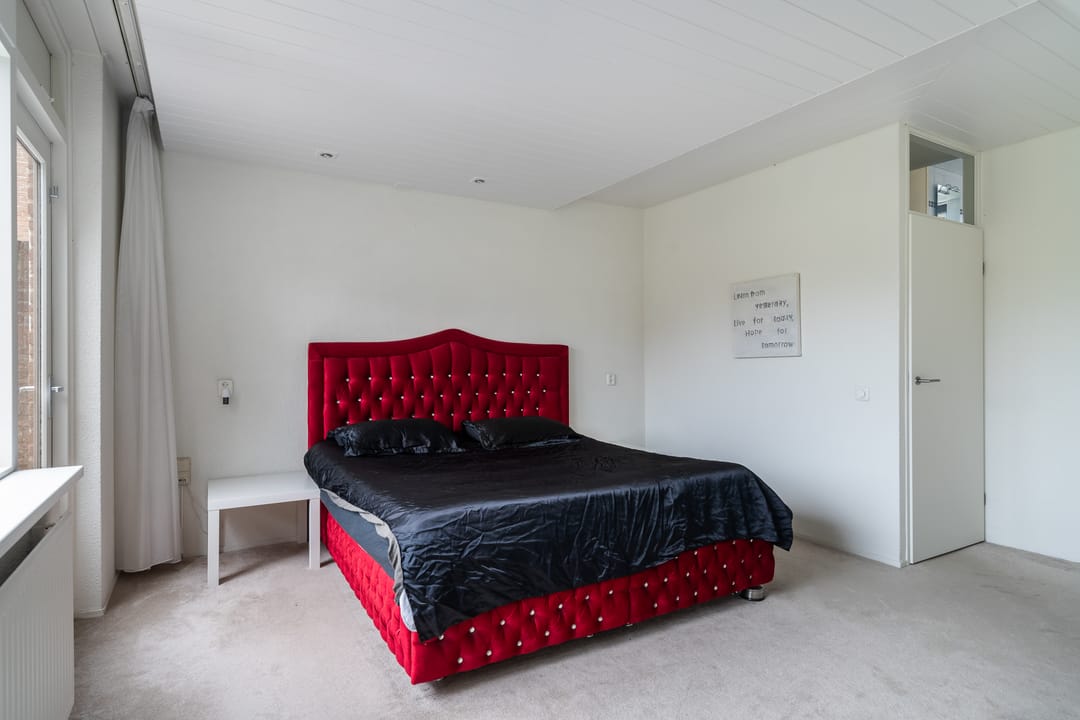 Foto 37 van Watertorkruid 1