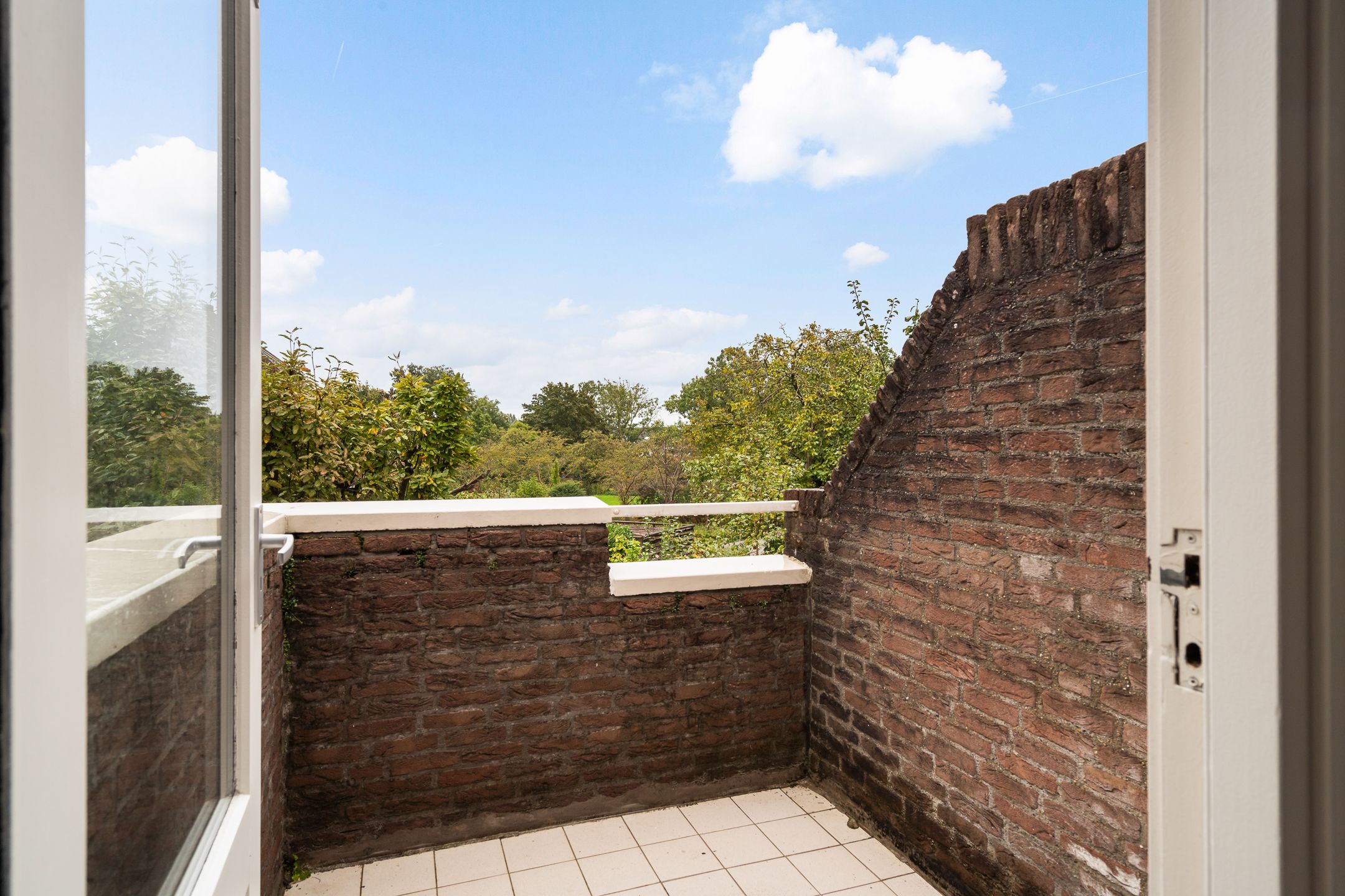 Foto 39 van Watertorkruid 1