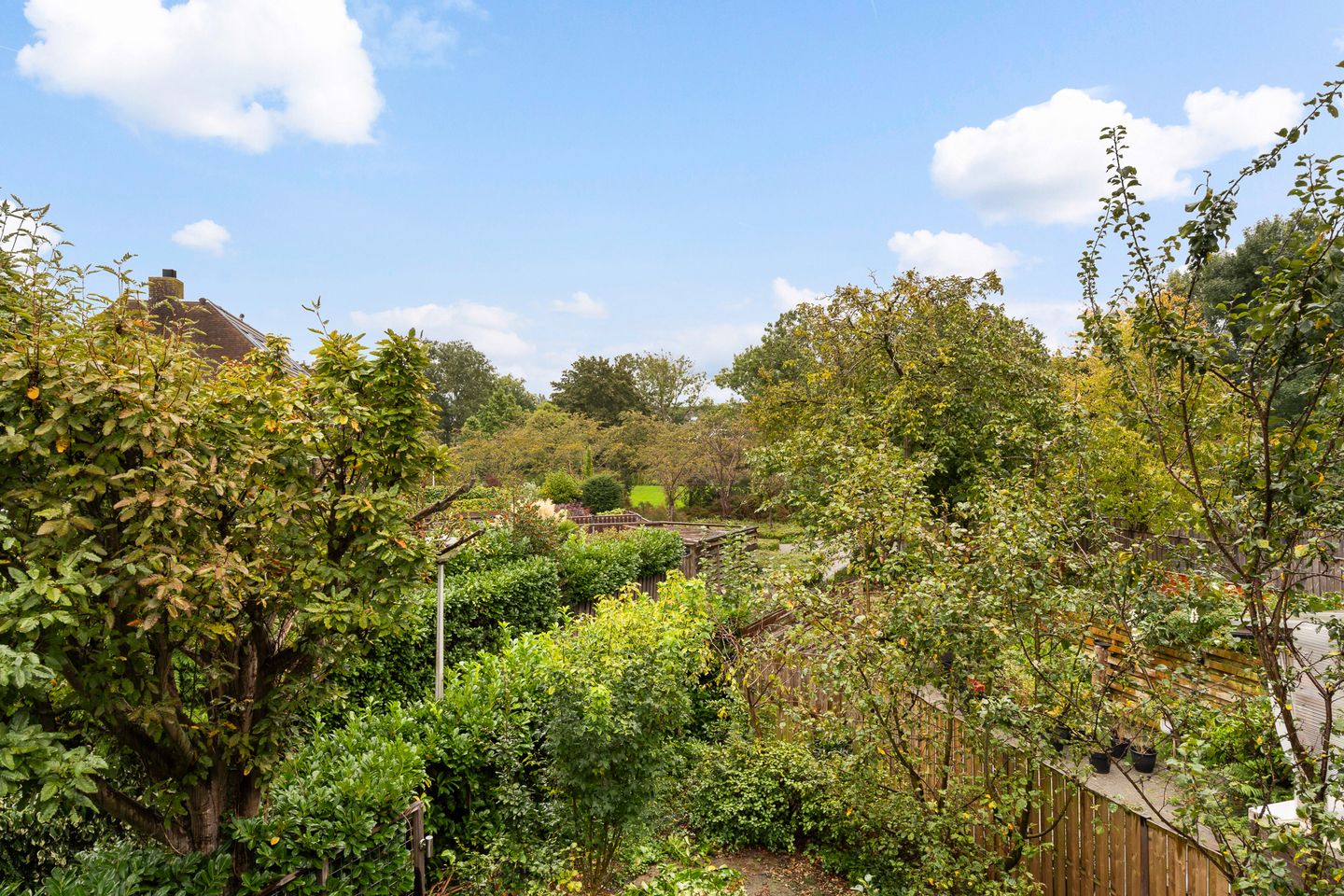 Foto 40 van Watertorkruid 1