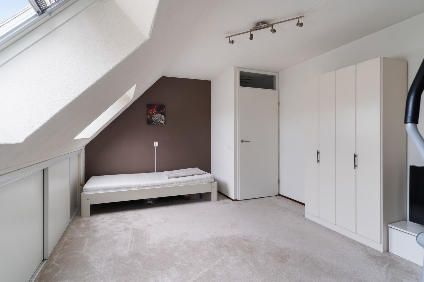 Foto 50 van Watertorkruid 1