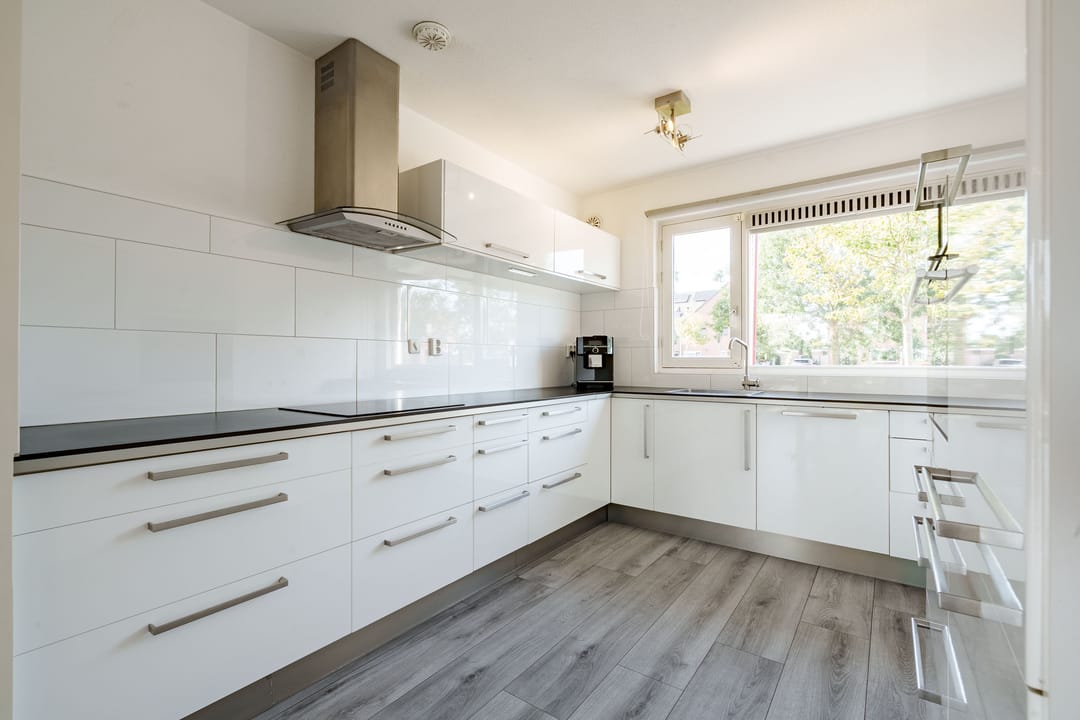 Foto 11 van Herman Heijermanshove 22