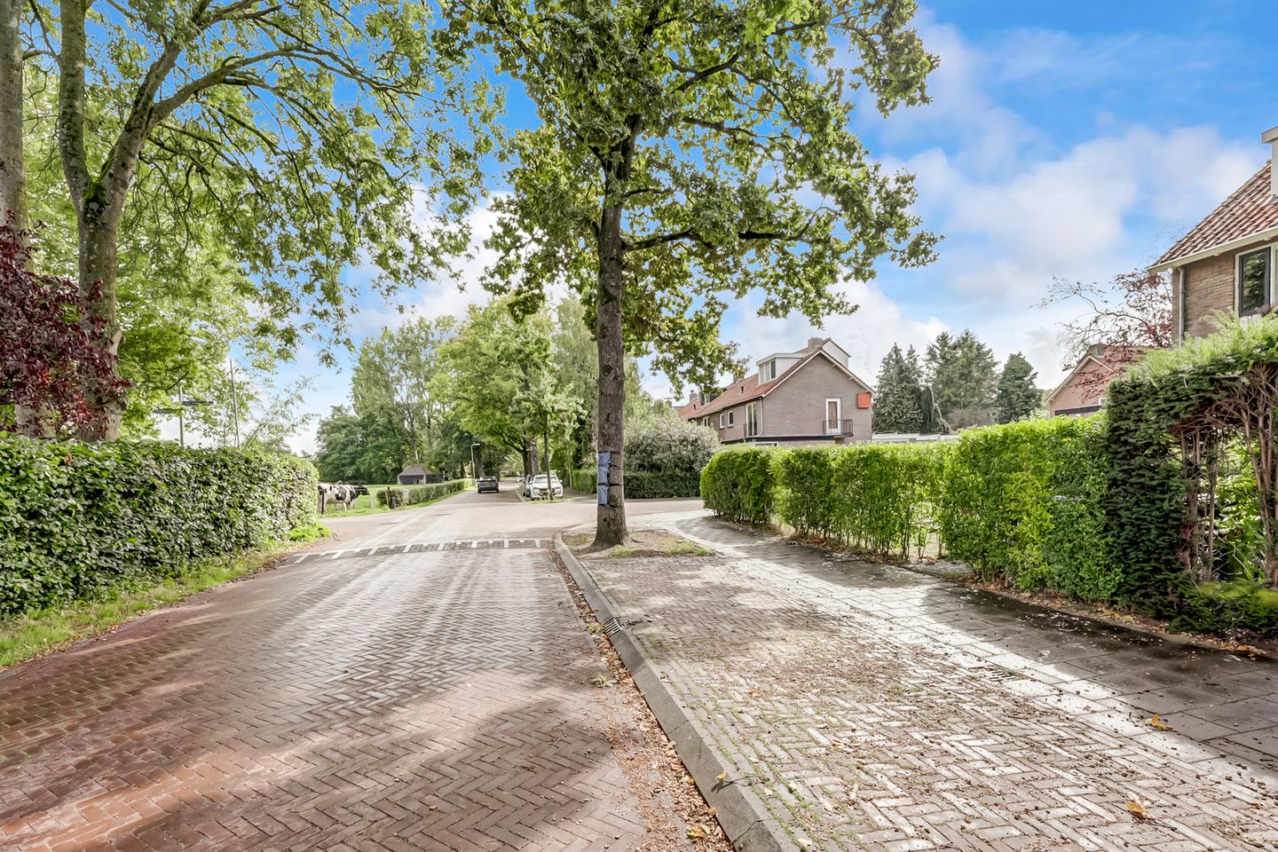 Foto 40 van Eikenlaan 32