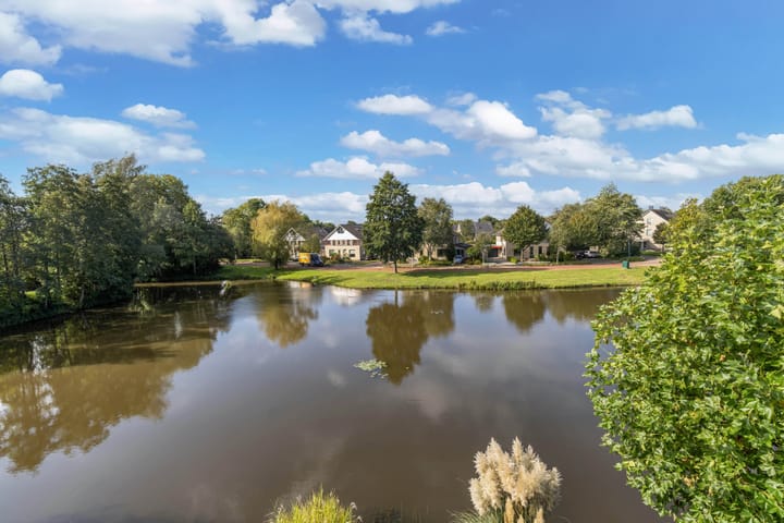 Foto 41 van Kalmoes 61