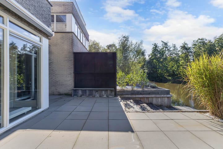 Foto 43 van Kalmoes 61