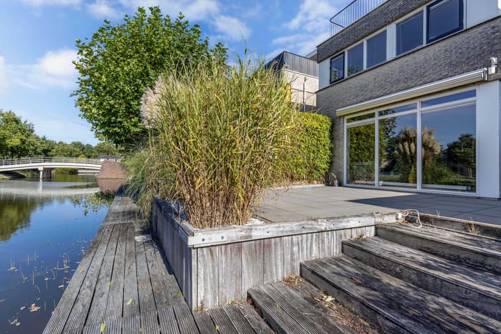 Foto 46 van Kalmoes 61