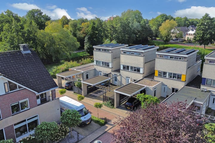 Foto 51 van Kalmoes 61