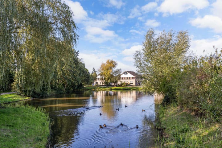 Foto 56 van Kalmoes 61