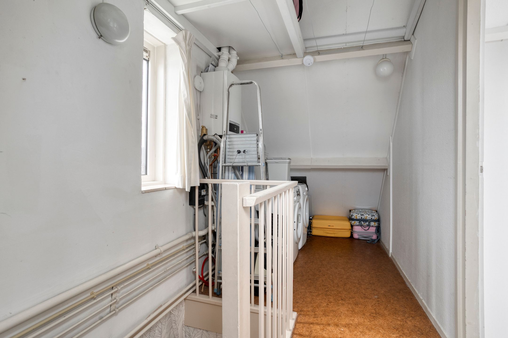 Foto 24 van Zebravink 27