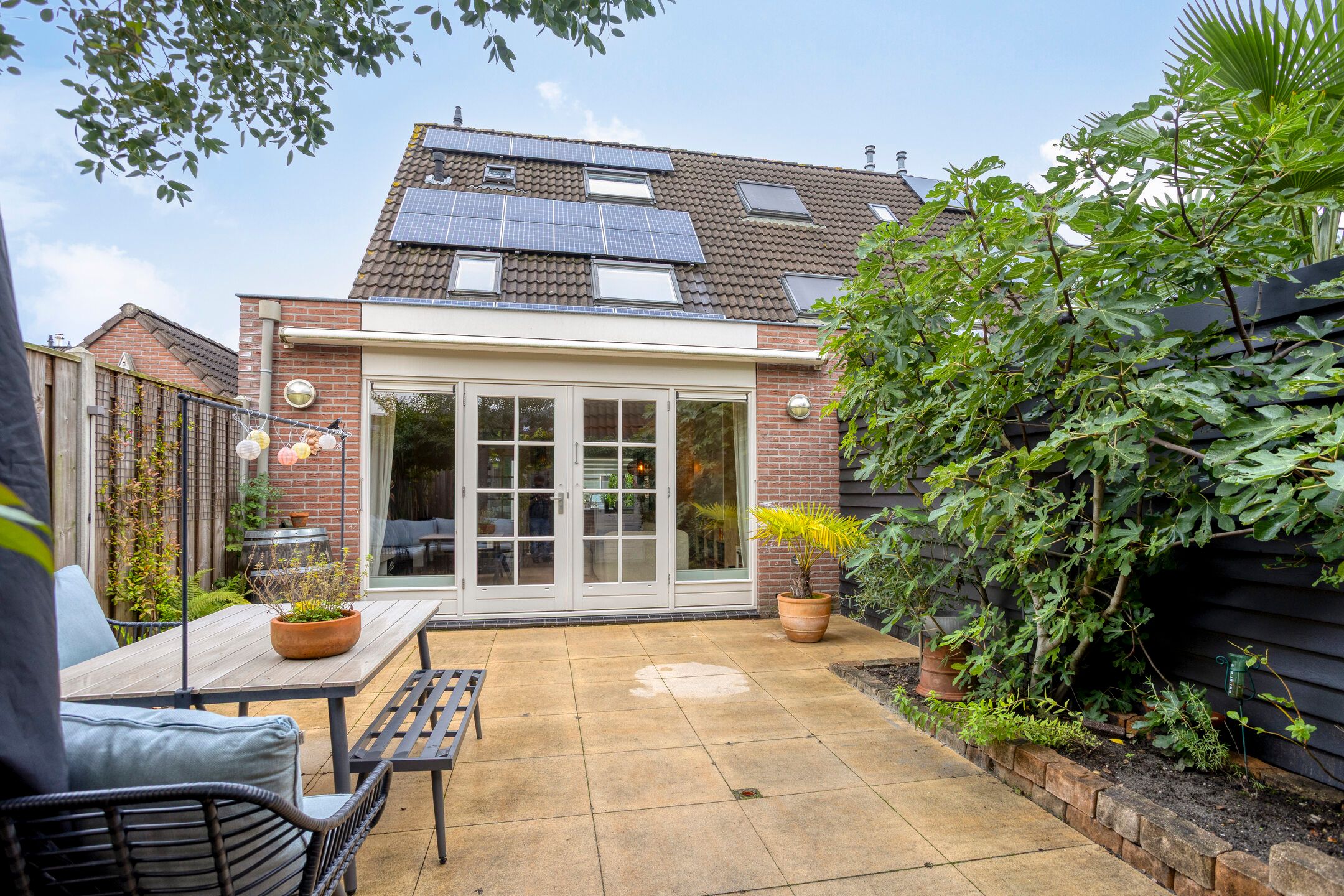 Foto 27 van Zebravink 27