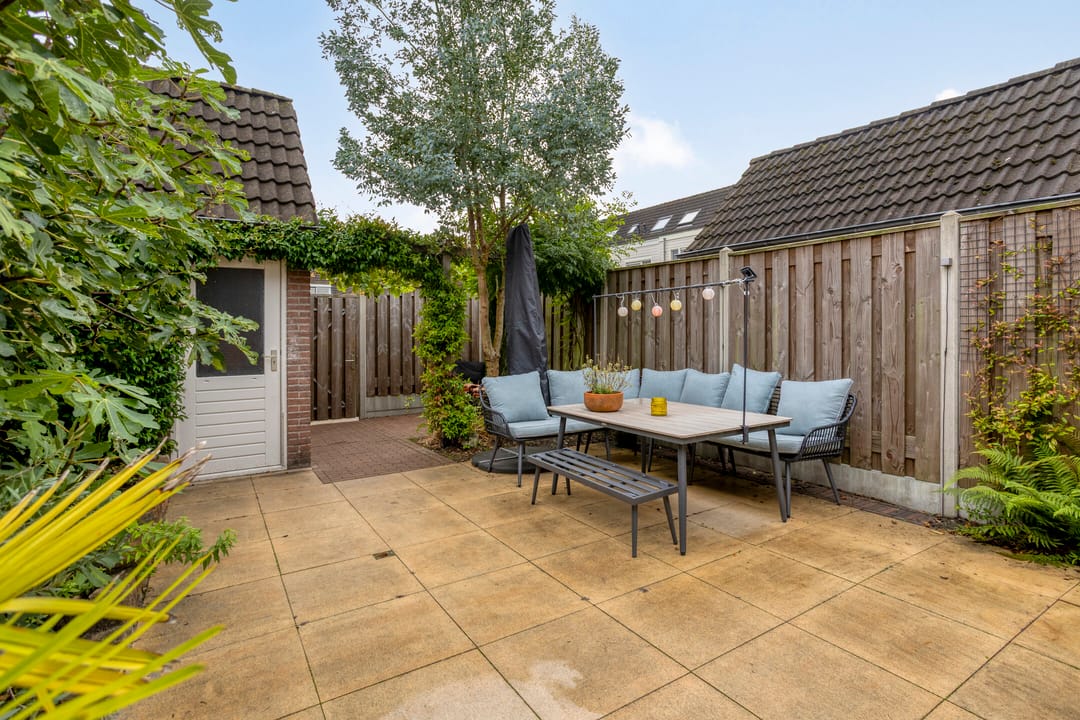 Foto 28 van Zebravink 27