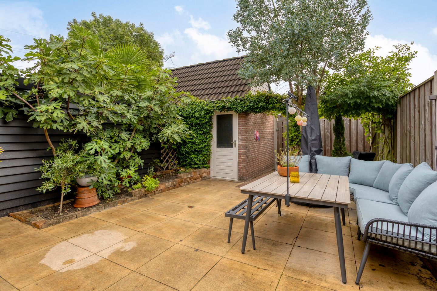 Foto 29 van Zebravink 27