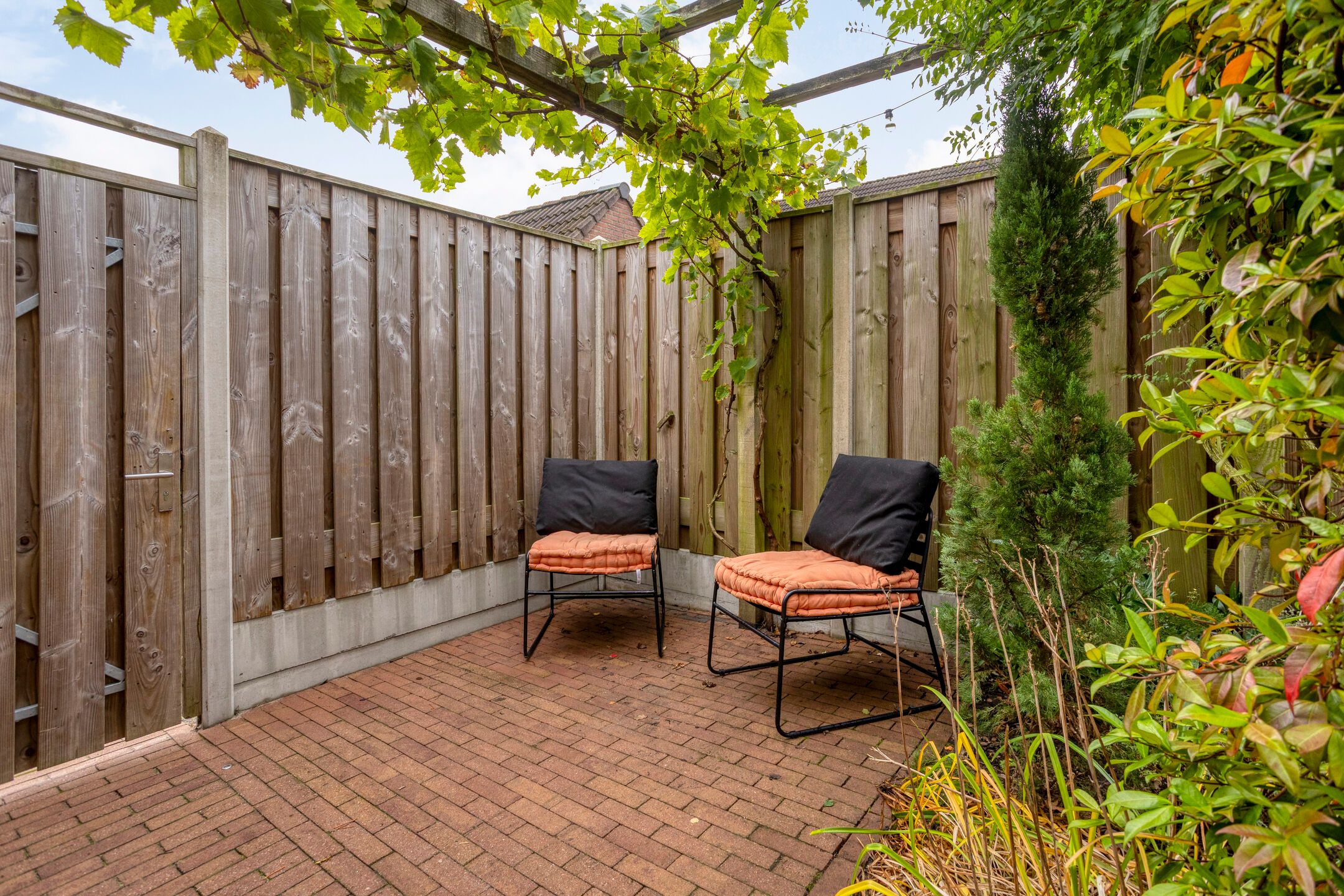 Foto 30 van Zebravink 27