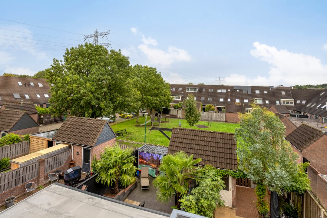 Foto 31 van Zebravink 27