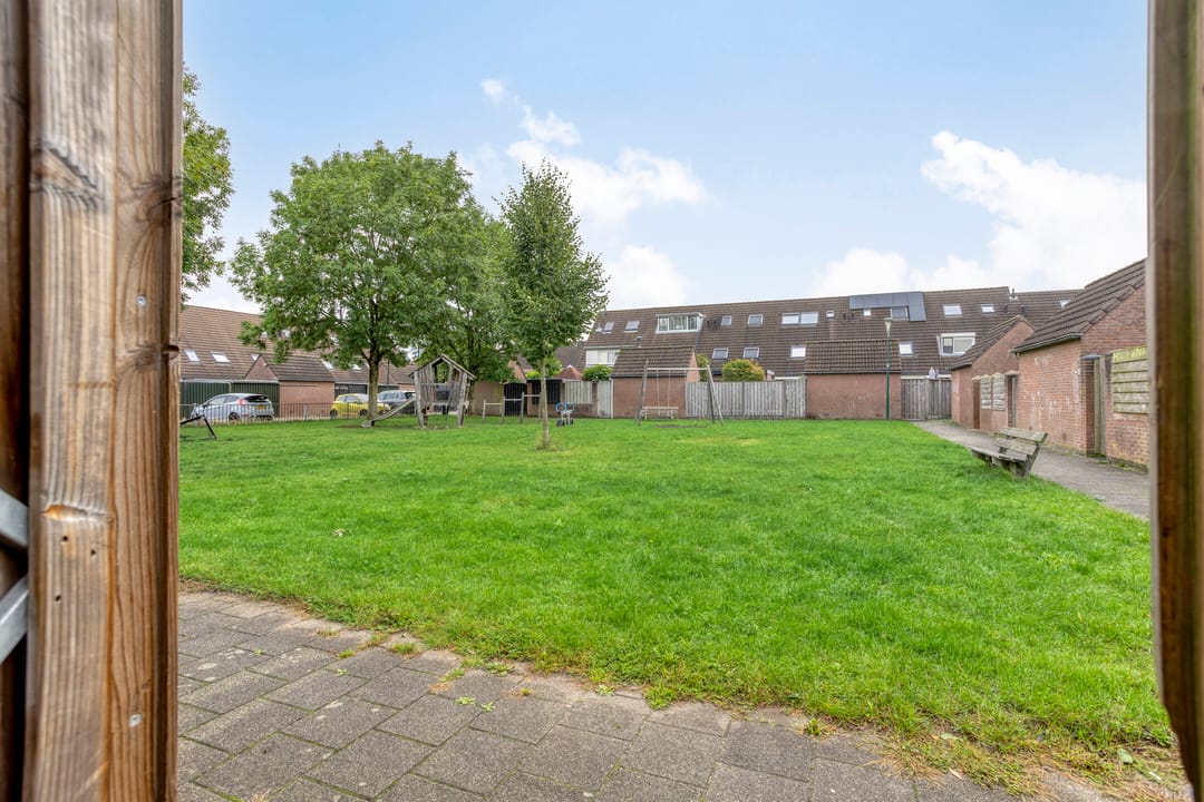 Foto 32 van Zebravink 27