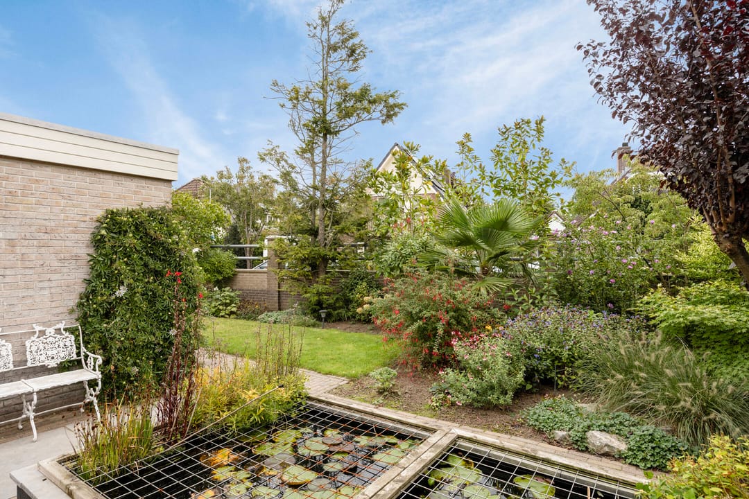 Photo 43 of Hackfortallee 20