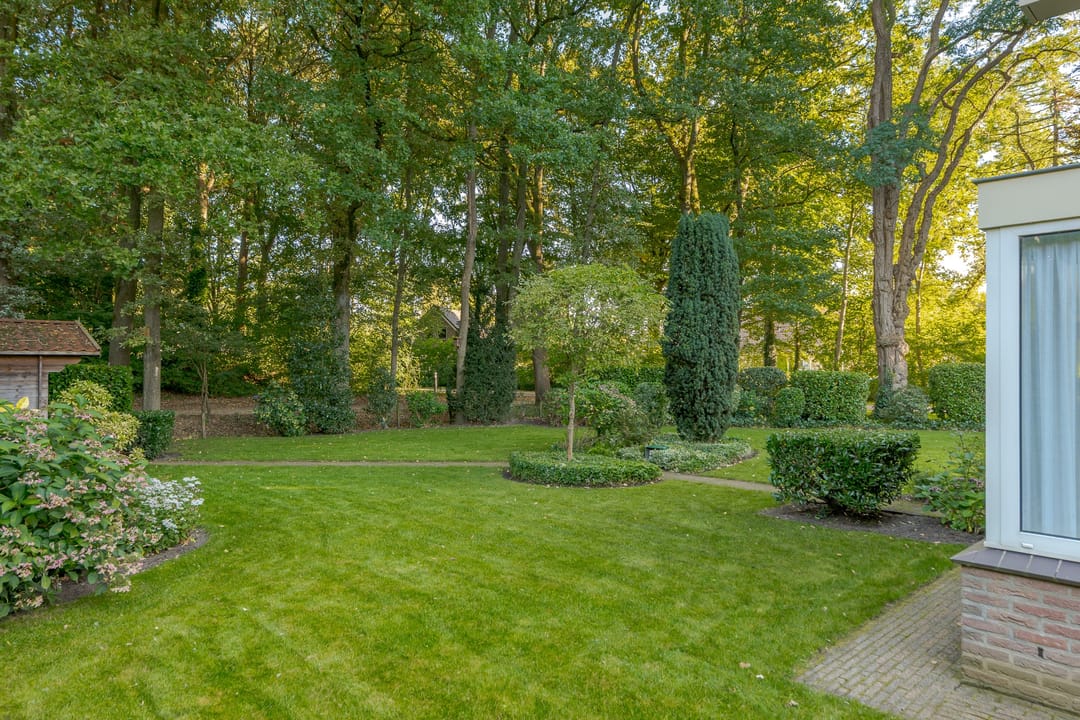 Foto 46 van Diekeveenseweg 10