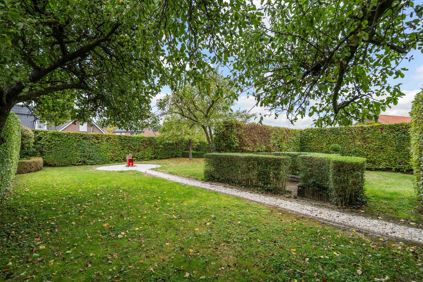 Foto 5 van Wilhelminastraat 6