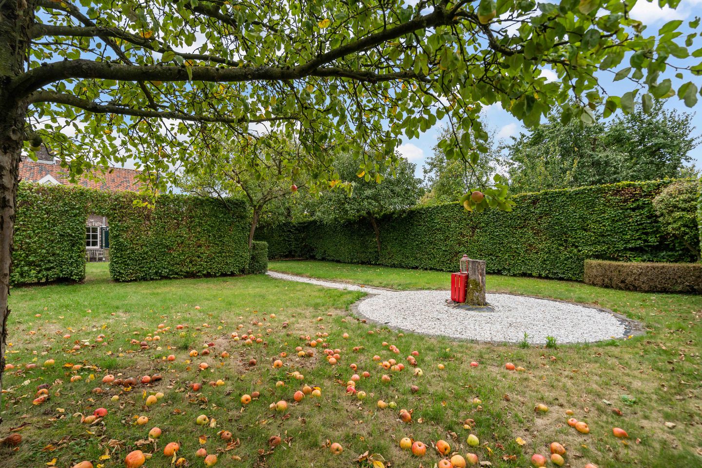 Foto 44 van Wilhelminastraat 6