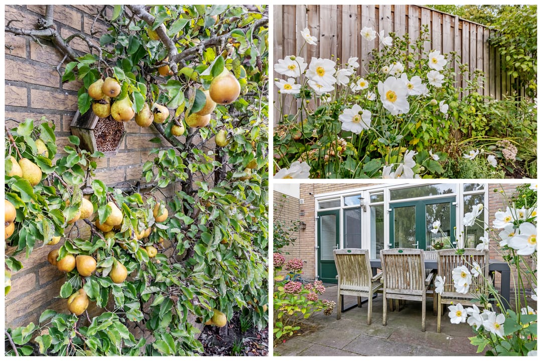 Photo 28 of Henri Dunantlaan 16