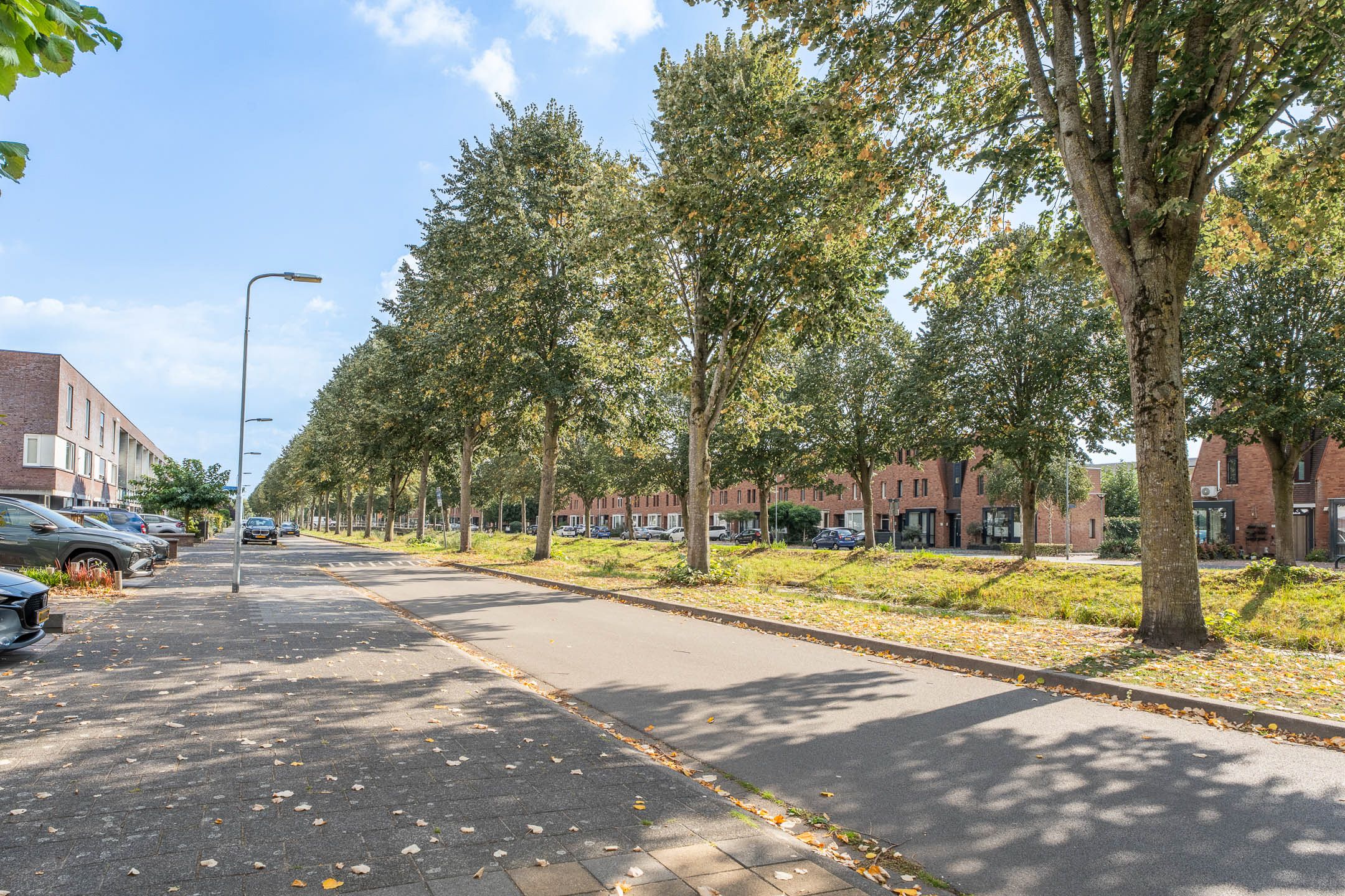 Photo 36 of Sterrenkroos 200