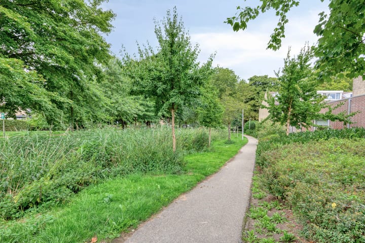 Foto 32 van Wijnkoopsbaai 6