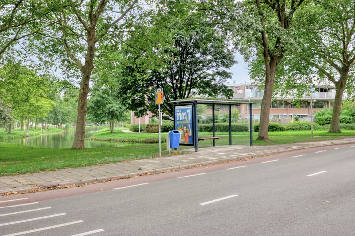 Foto 36 van Wijnkoopsbaai 6