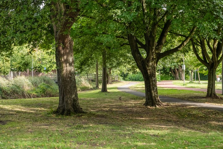 Foto 37 van Wijnkoopsbaai 6