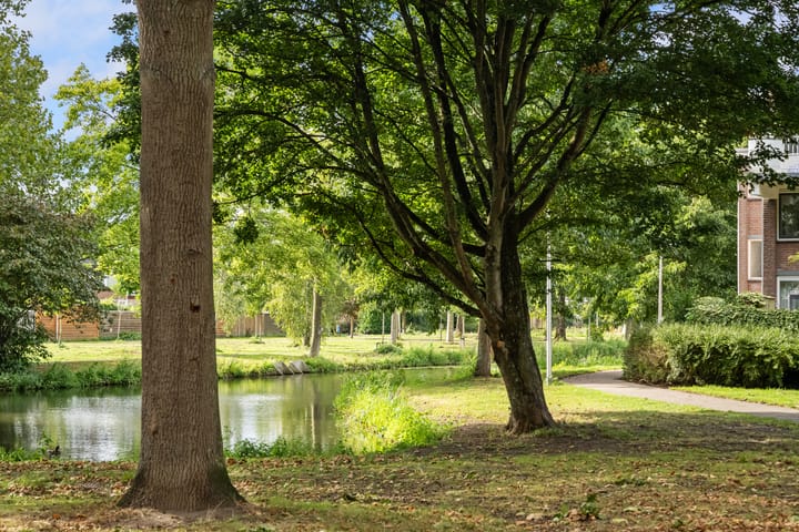 Foto 38 van Wijnkoopsbaai 6