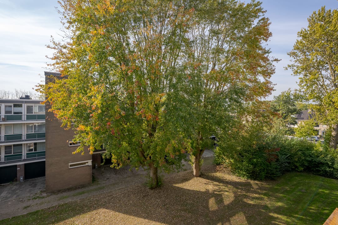 Foto 26 van Tsjaikovskilaan 33