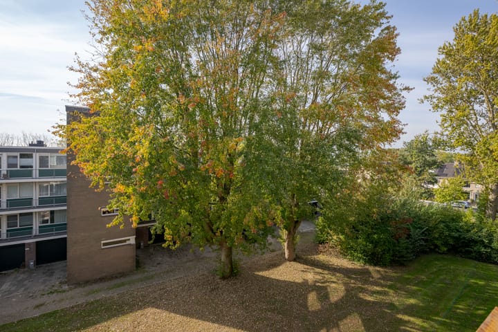 Photo 26 of Tsjaikovskilaan 33