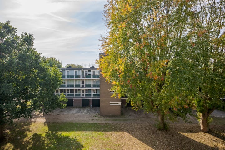 Photo 27 of Tsjaikovskilaan 33