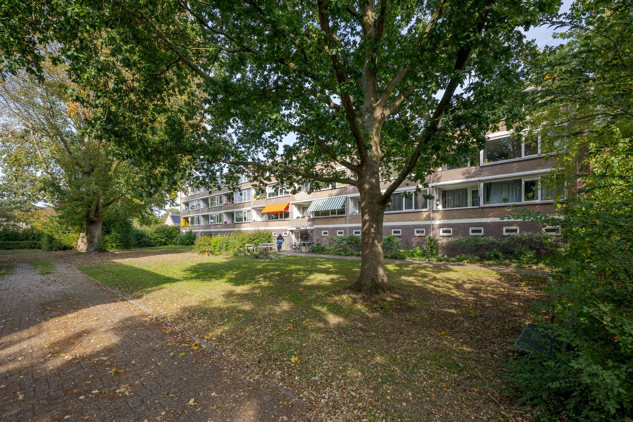 Foto 36 van Tsjaikovskilaan 33