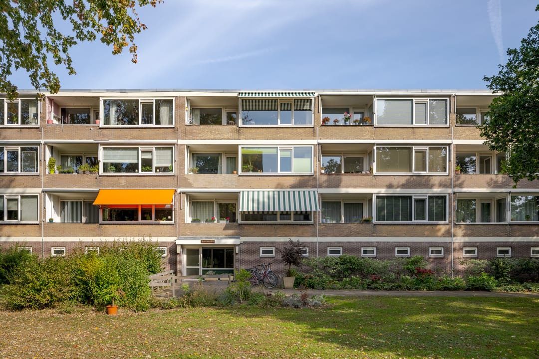 Foto 38 van Tsjaikovskilaan 33