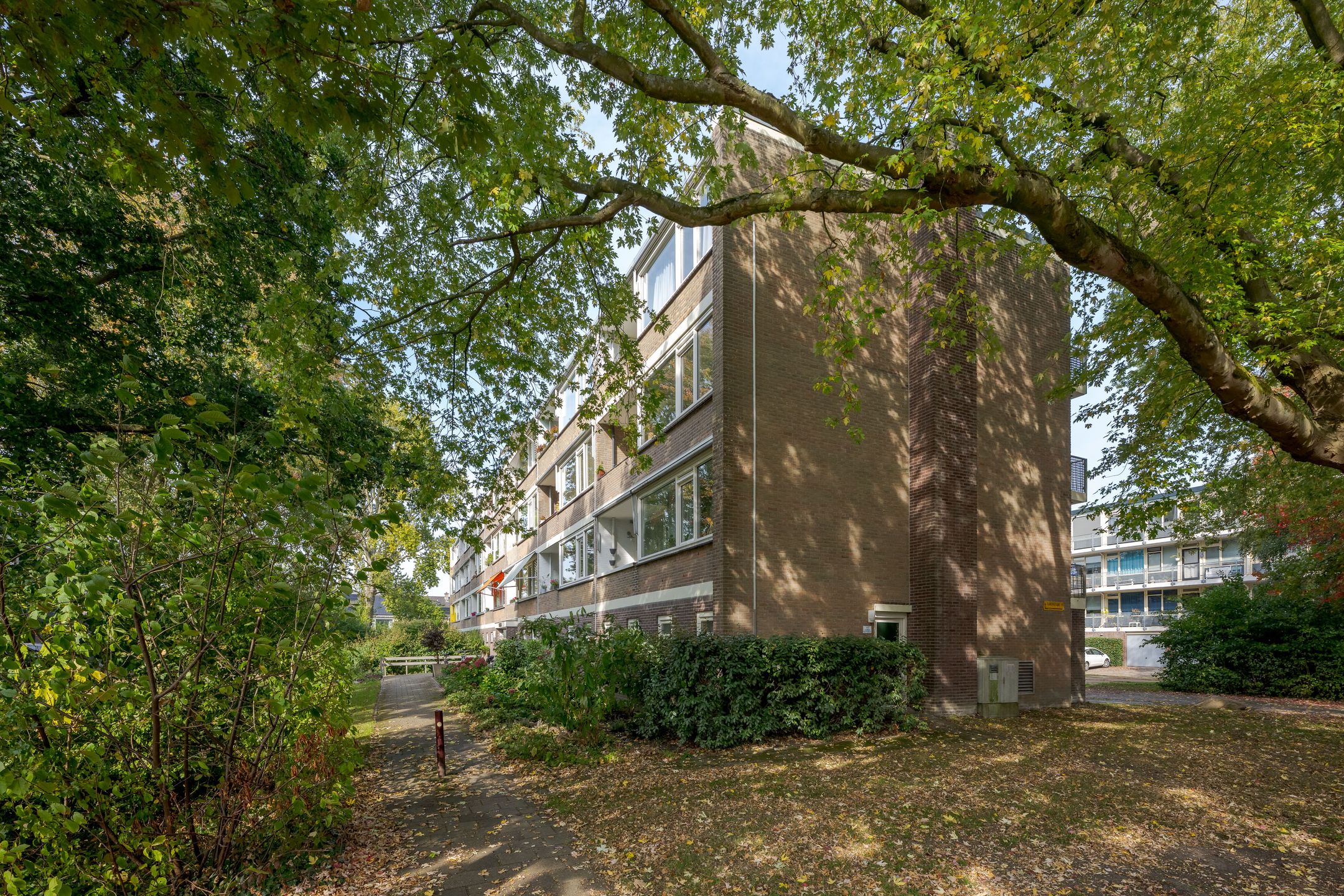 Foto 39 van Tsjaikovskilaan 33