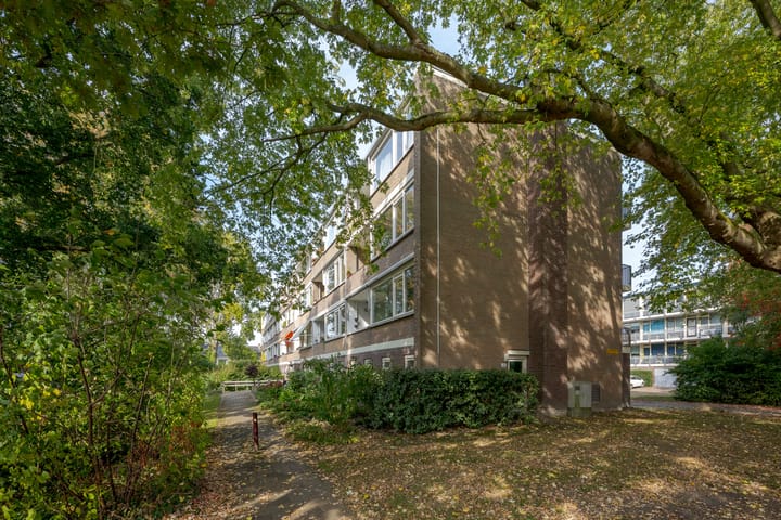 Photo 39 of Tsjaikovskilaan 33