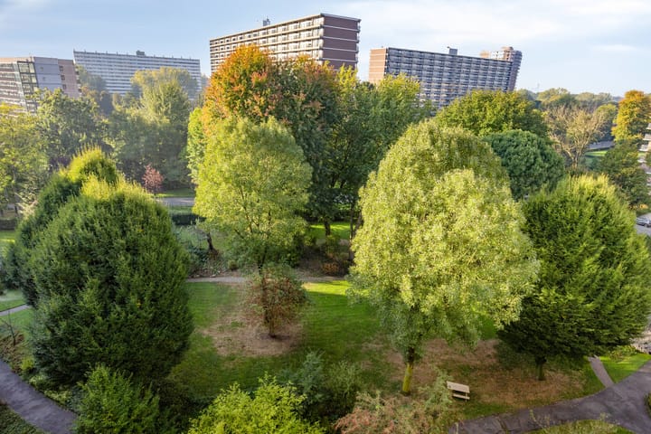 Foto 3 van Curieplaats 193