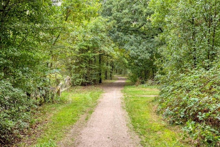 Foto 37 van Boomsweg 1-Z131