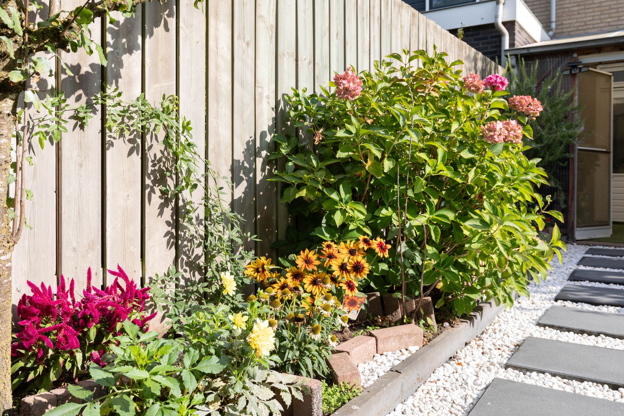 Foto 39 van Wittenburg 71