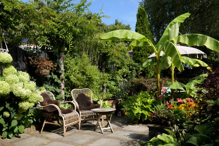 Foto 4 van Hoefcamplaan 2