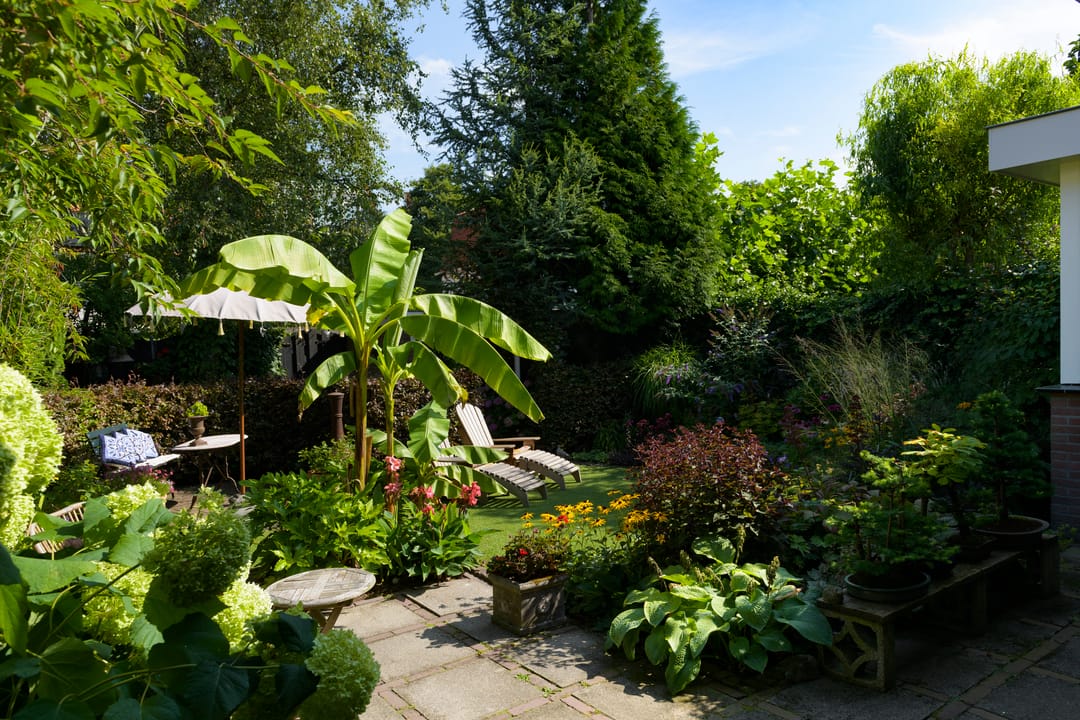 Foto 53 van Hoefcamplaan 2