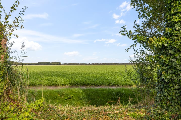 Photo 27 of Texelstroom 33