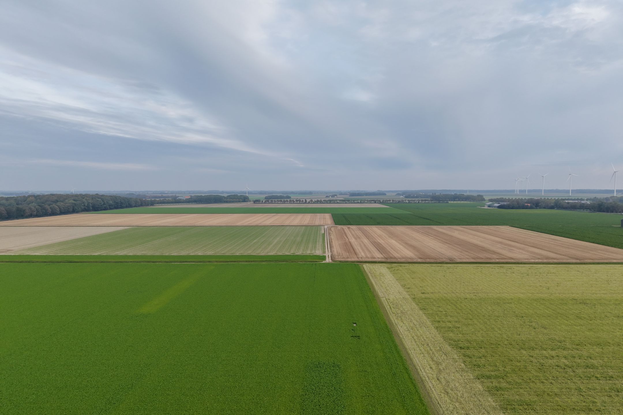 Photo 30 of Texelstroom 33