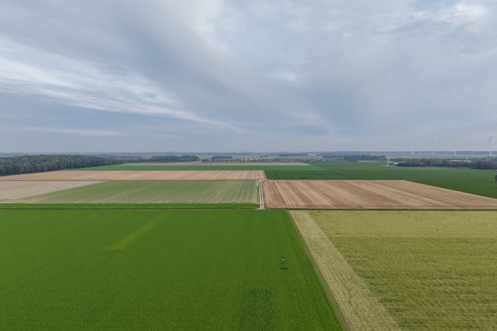 Photo 30 of Texelstroom 33