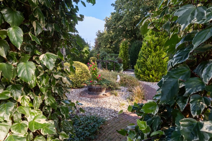 Photo 5 of Bosrand 11