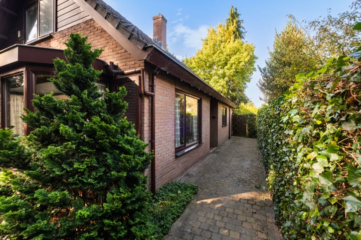 Photo 7 of Bosrand 11