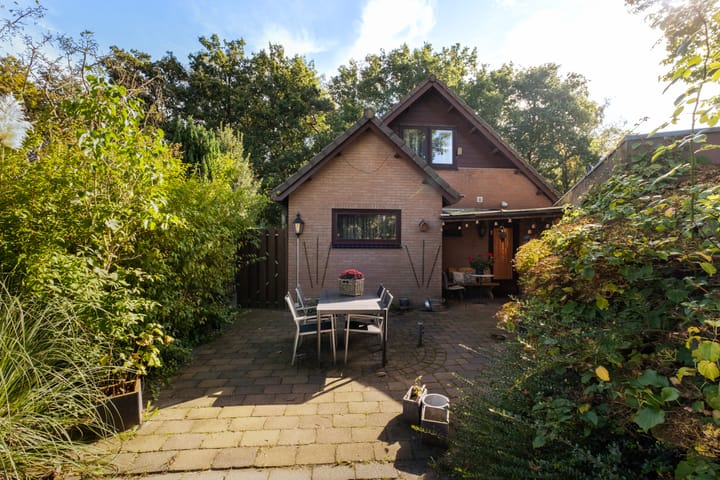 Photo 39 of Bosrand 11