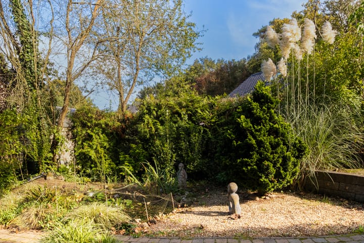 Photo 43 of Bosrand 11