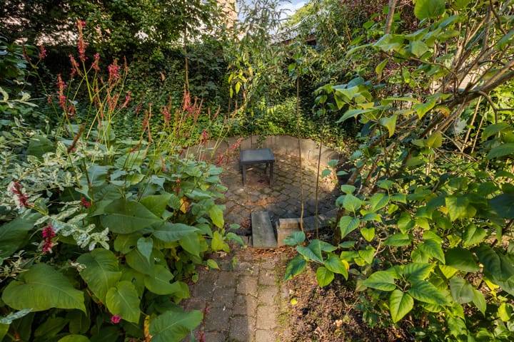 Photo 44 of Bosrand 11