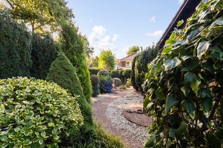 Photo 48 of Bosrand 11